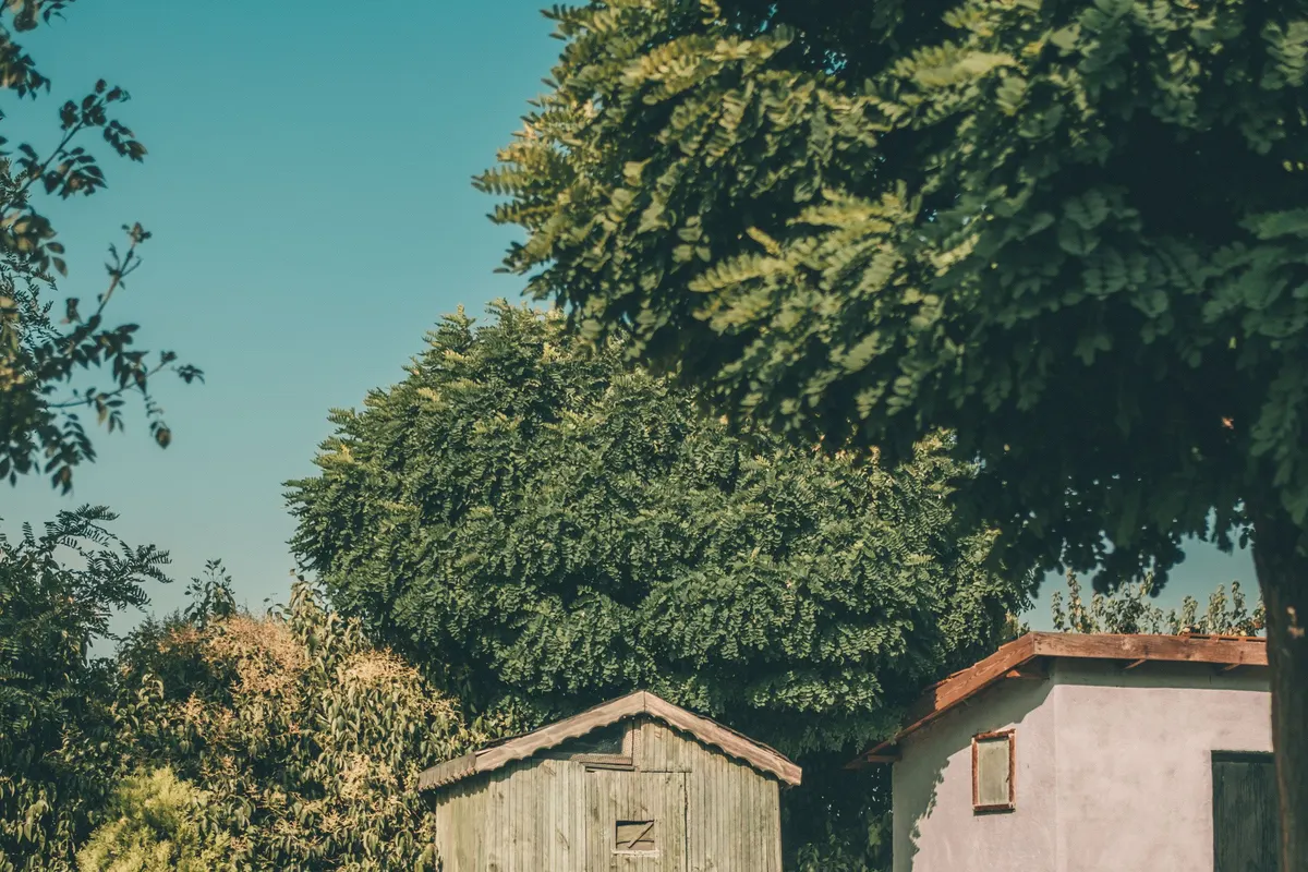 Two small wooden sheds in a backyard